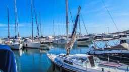 Trapper 28 Sailboat