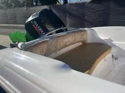 Ranieri Shark 19