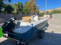 Ranieri Shark 19