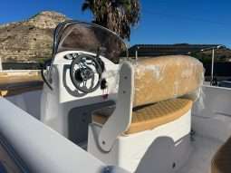 Ranieri Shark 19