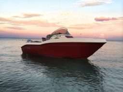 Ranieri Evo 22